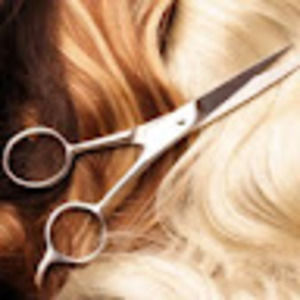 Meet your Posher, Elodie